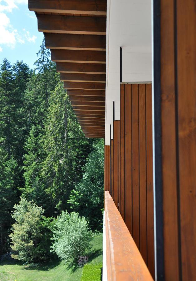 Hotel Historique Chez Elsy - Crans-Sapins Luaran gambar